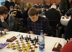 ChessOrg Bild